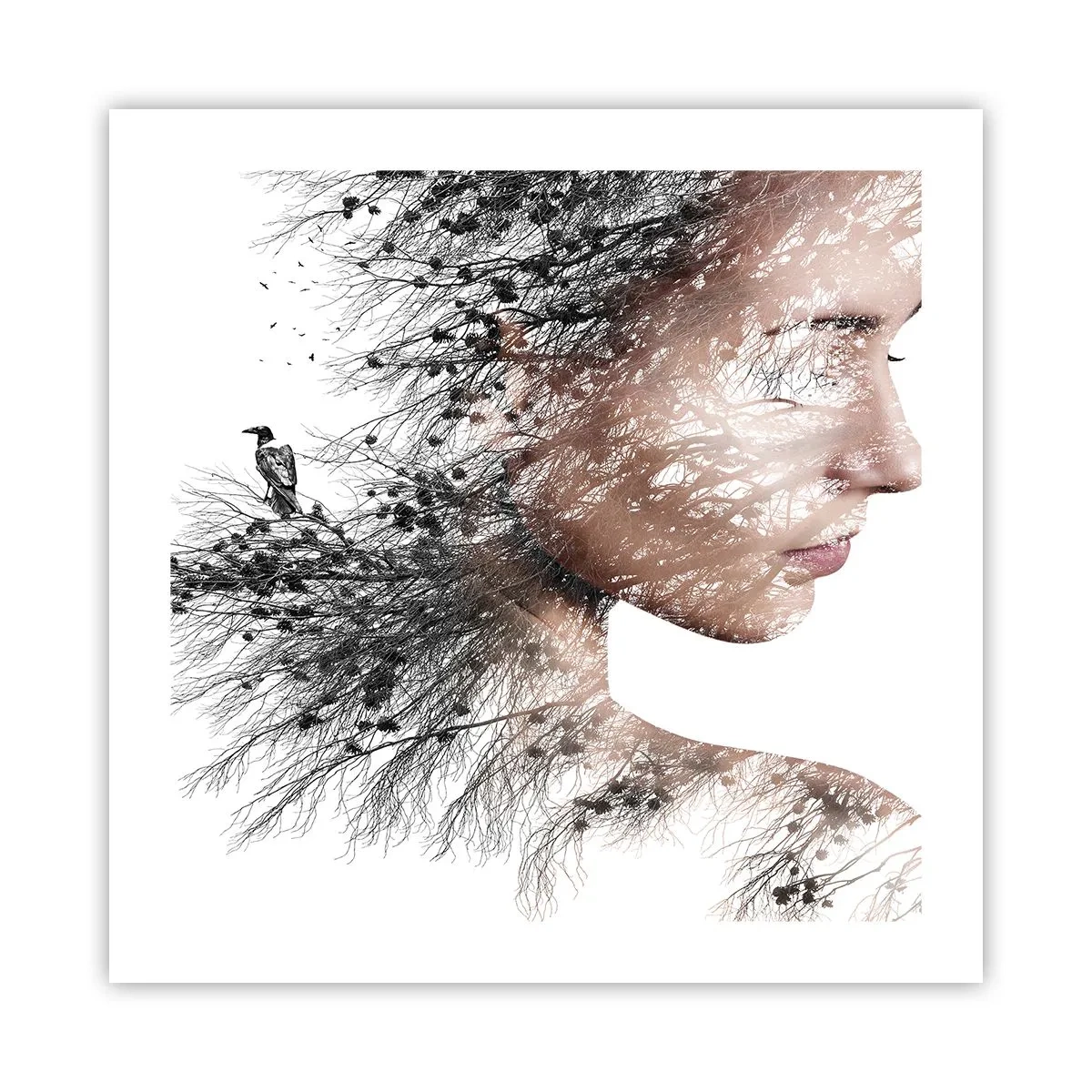 Poster - Lo spirito della foresta - 50x50 cm