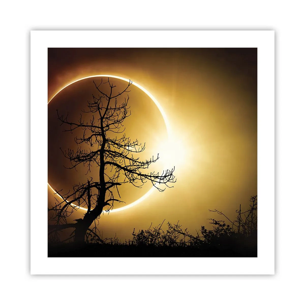 Poster - Eclissi totale - 50x50 cm