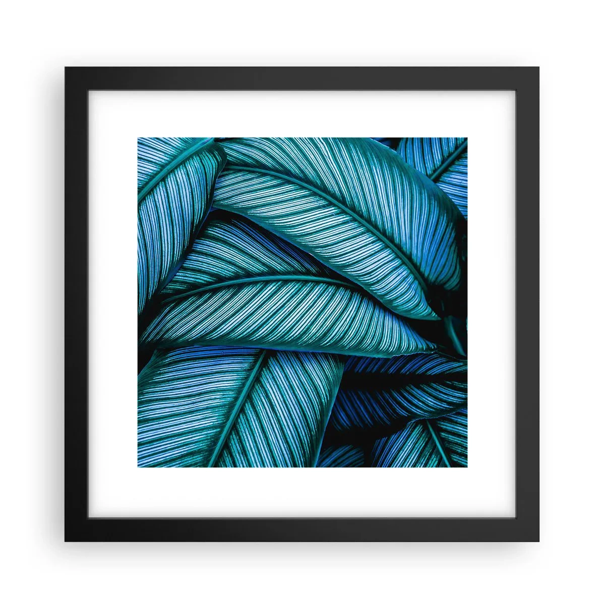 Poster in cornice nera - Le linee della vita - 30x30 cm