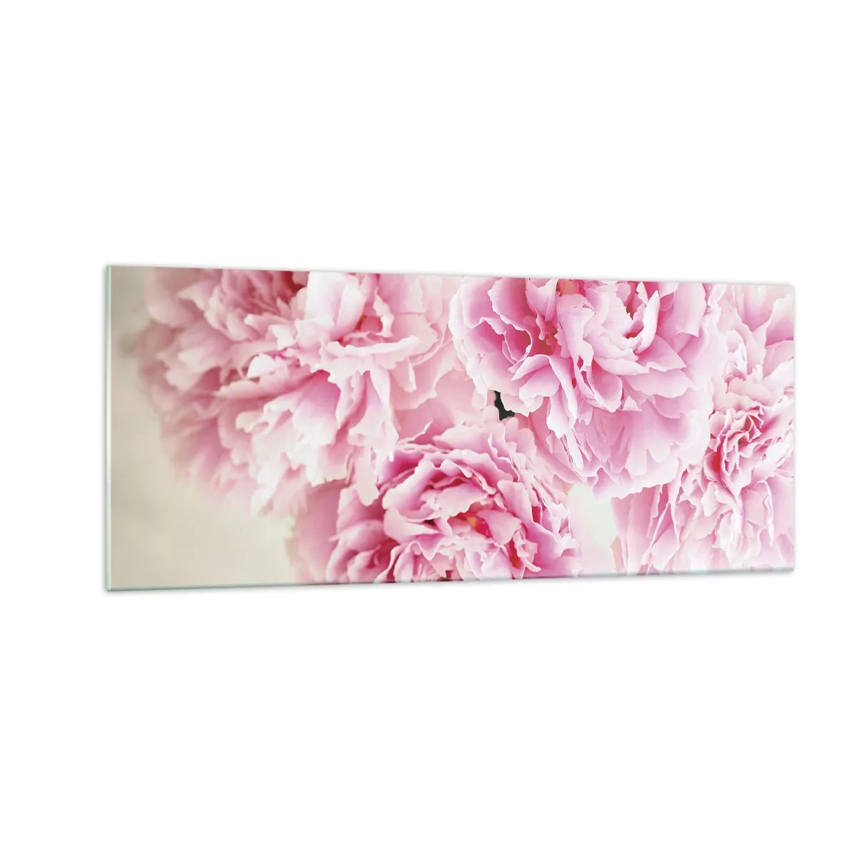Quadro su vetro - Nel fasto rosa - 100x40 cm
