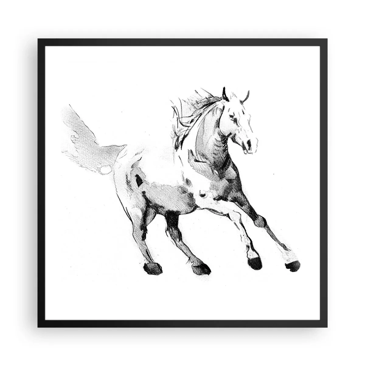 Poster in cornice nera - Anima indomabile - 60x60 cm