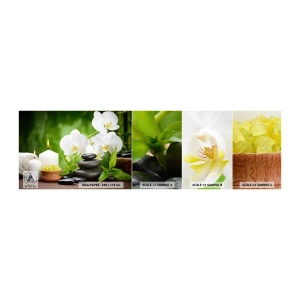 Campione Di Fotomurale Standard Eco - Tocco delicato, fragrante, floreale - Fiori, Orchidea, Orchidea - 100x30 cm