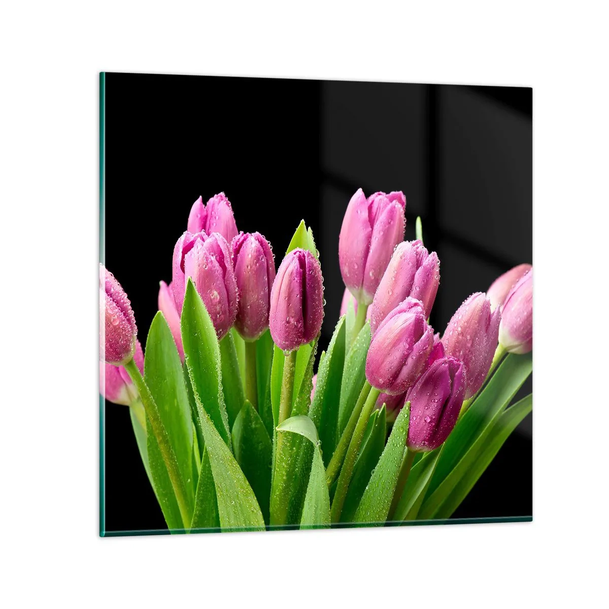 Quadro su vetro - Gioia lilla della primavera - 50x50 cm