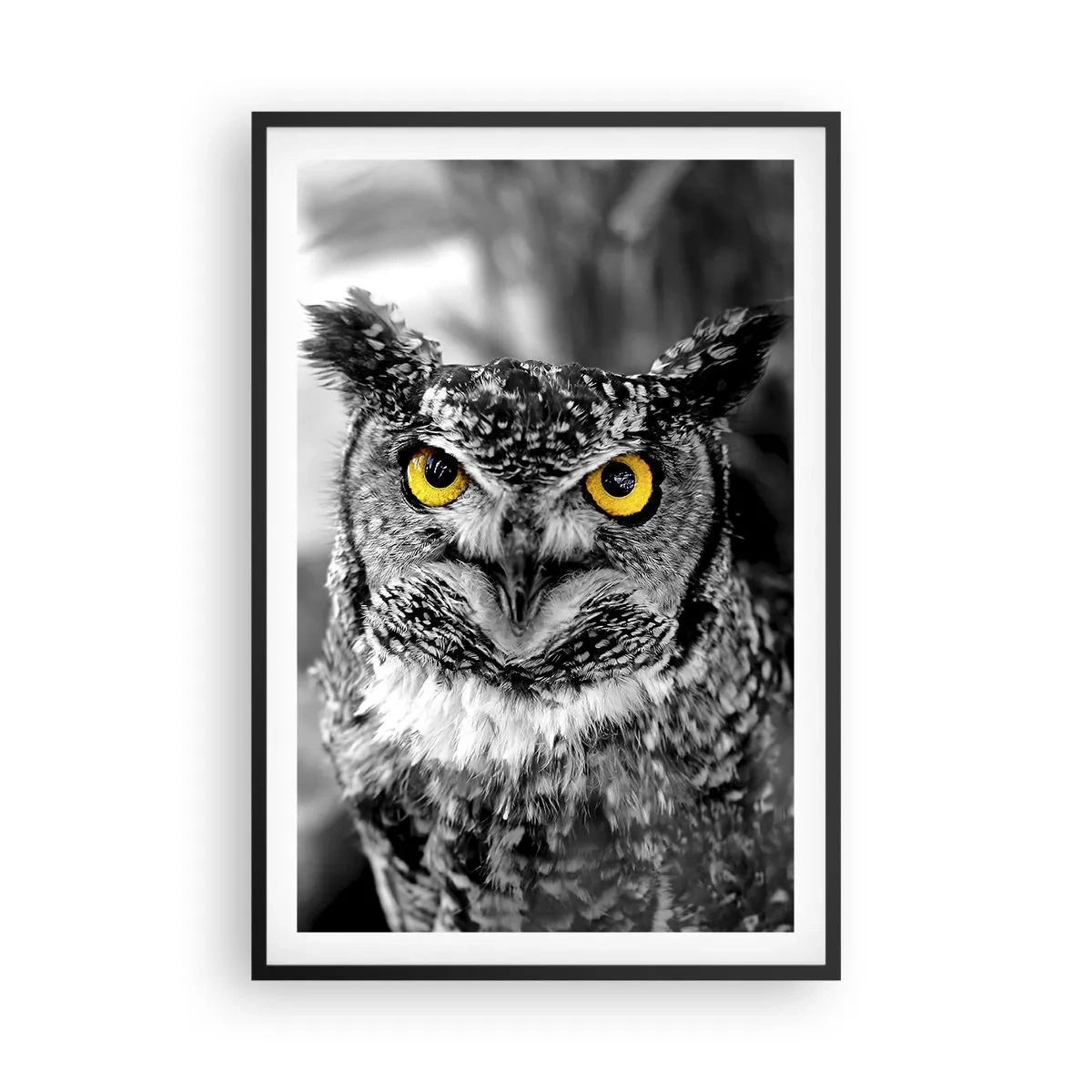 Poster in cornice nera - Non si può nascondere niente - 61x91 cm