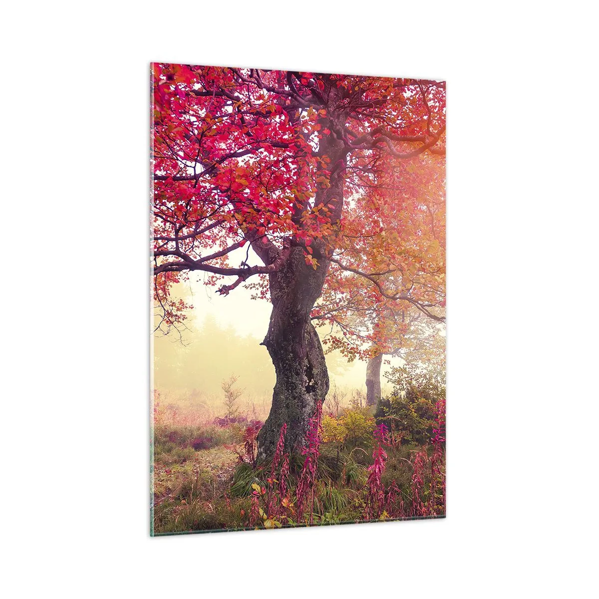 Quadro su vetro - Foresta autunnale con raggi di sole al mattino - 50x70cm - L'esplosione della fioritura - Decorazione murale moderna per soggiorno e camera da letto ARTTOR