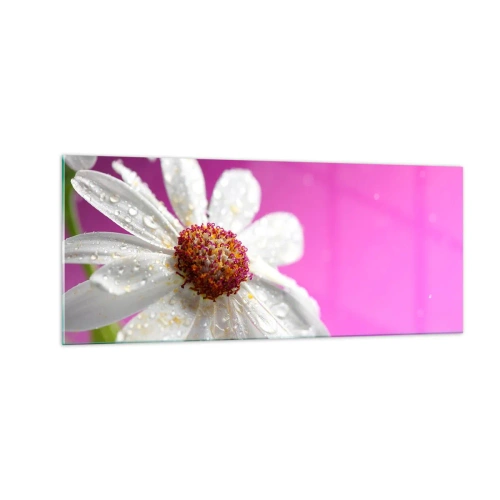 Quadro su vetro - Modesto nella sua bellezza - 100x40 cm