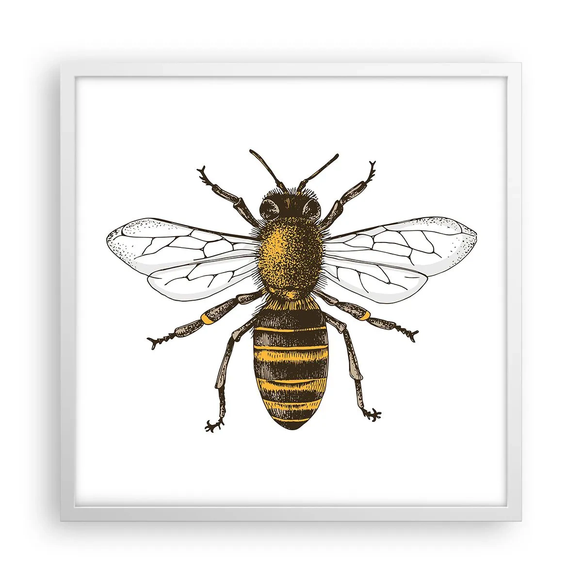 Poster in cornice bianca - Bella e buona - 50x50 cm