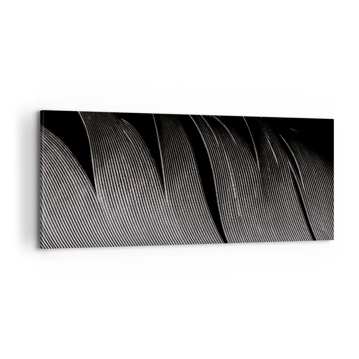 Quadro su tela - Stampe su Tela - Piuma: struttura meravigliosa - 100x40 cm