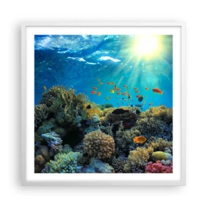 Poster in cornice bianca - Tesori sotto al mare - 60x60 cm