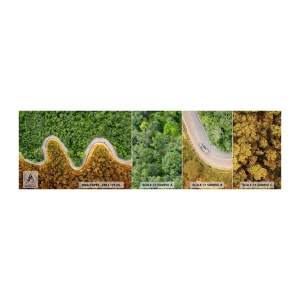 Campione di Fotomurale Premium Canvas - Confine e separazione - Paesaggio, Strada automobilistica, foresta - 100x30 cm