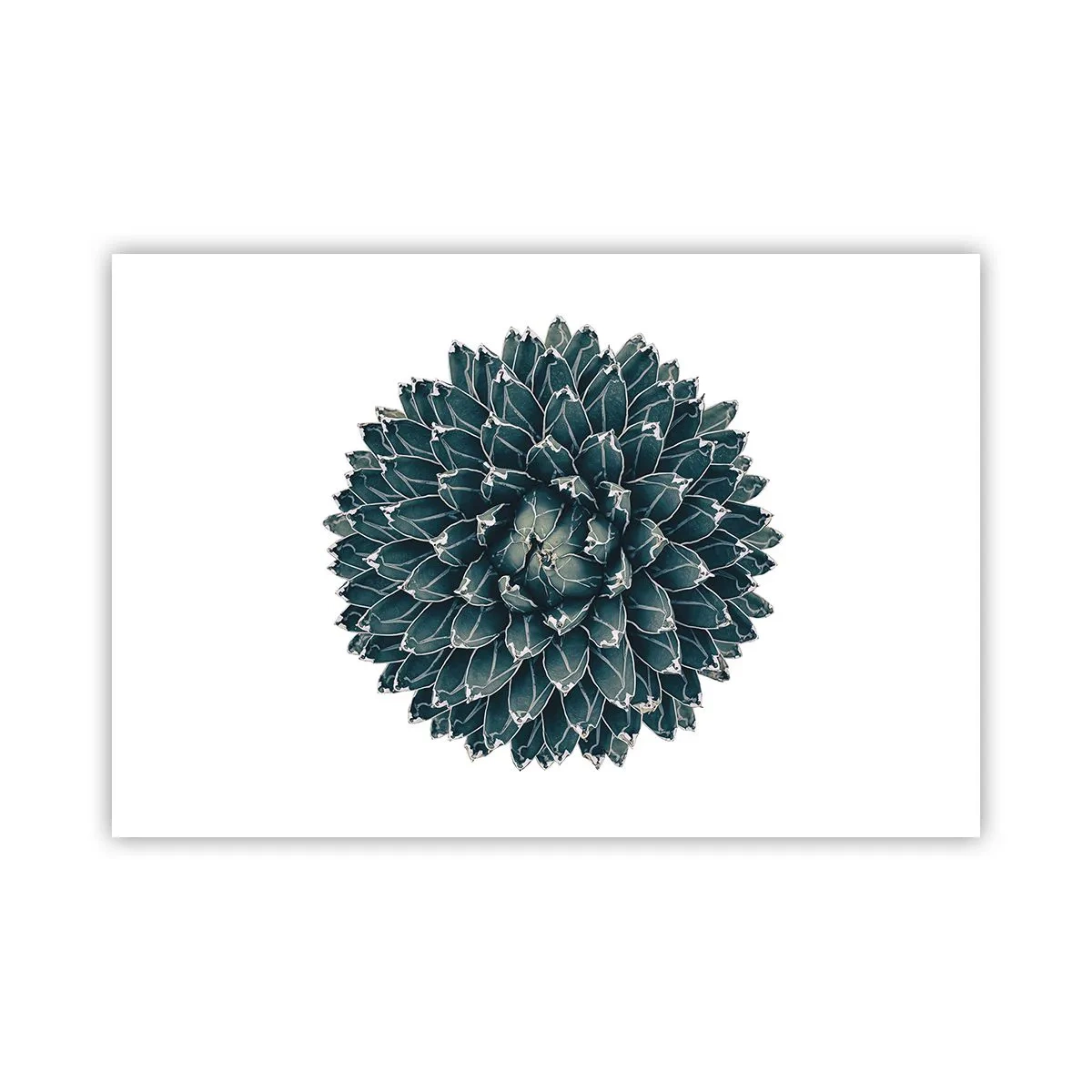 Poster - La stella del deserto - 91x61 cm