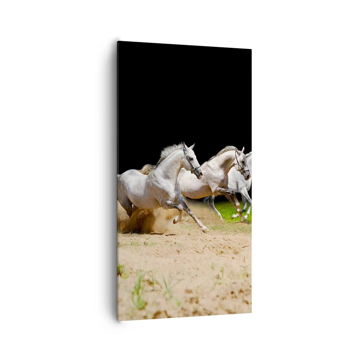 Quadro su tela - Stampe su Tela - Tre Grazie - 65x120 cm