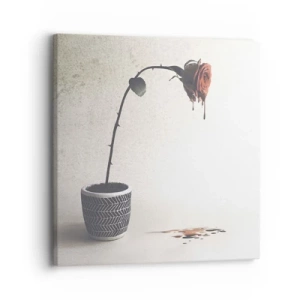 Quadro su tela - Stampe su Tela - Rosa dolorosa - 30x30 cm