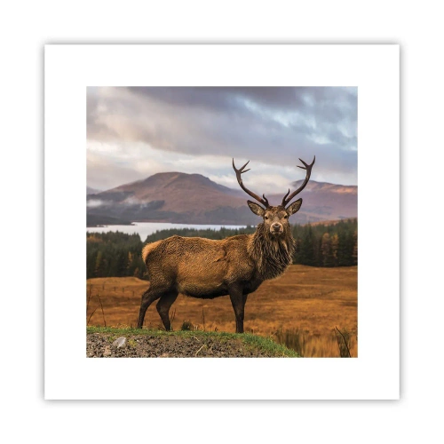 Poster - Maestà della natura - 30x30 cm