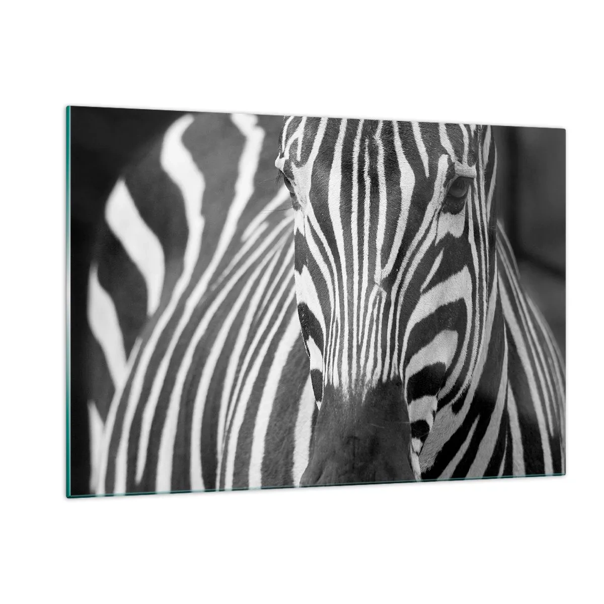 Quadro su vetro - Ritratto in bianco e nero di una zebra con strisce visibili - 120x80cm - Il mondo è in bianco e nero - Decorazione murale moderna per soggiorno e camera da letto ARTTOR