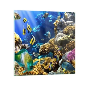 Quadro su vetro - Traffico intenso sulla via delle vacanze - 50x50 cm