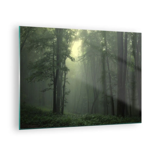 Quadro su vetro - Una foresta oscura avvolta nella nebbia con raggi di luce - 70x50cm - Prima che si svegli - Decorazione murale moderna per soggiorno e camera da letto ARTTOR