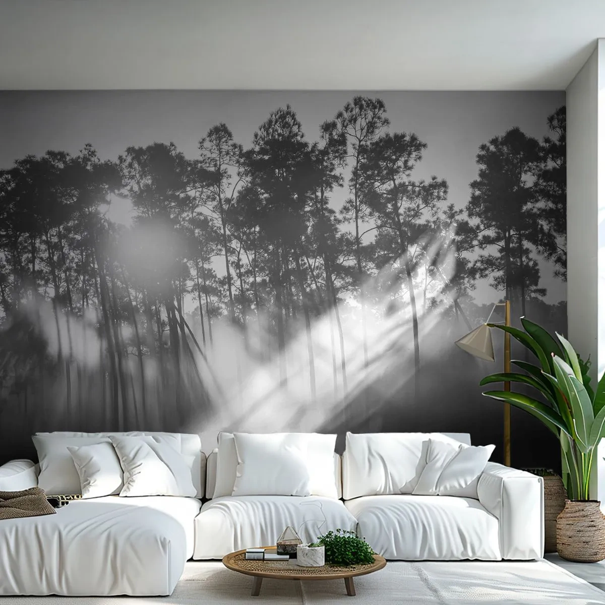 Fotomurali Autoadesivo Deluxe Sticker - Sole irrefrenabile - Paesaggio, foresta, Natura - 250x175 cm