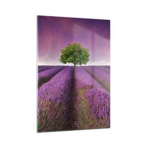 Quadro su vetro - Un campo di lavanda con un albero solitario contro il cielo - 50x70cm - Sui campi di lavanda - Decorazione murale moderna per soggiorno e camera da letto ARTTOR