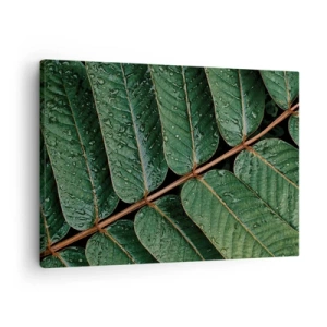 Quadro su tela - Stampe su Tela - Macro di foglie verdi con gocce di rugiada - 70x50cm - Al ritmo verde - Decorazione murale moderna per soggiorno e camera da letto ARTTOR