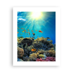 Poster - Tesori sotto al mare - 40x50 cm