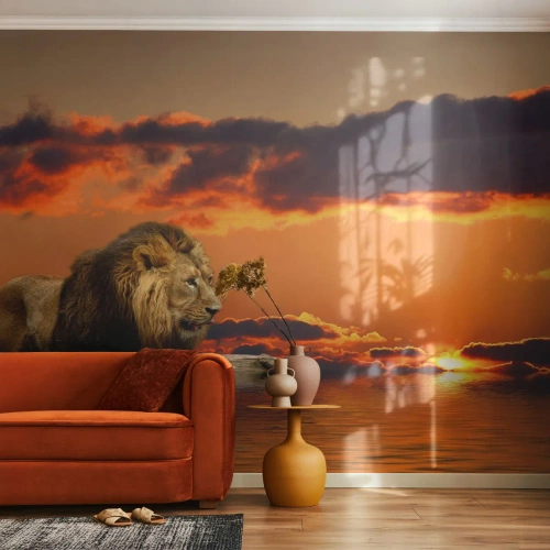 Fotomurali Premium Canvas - Il re della natura - Leone, Tramonto, Animali - 400x280 cm