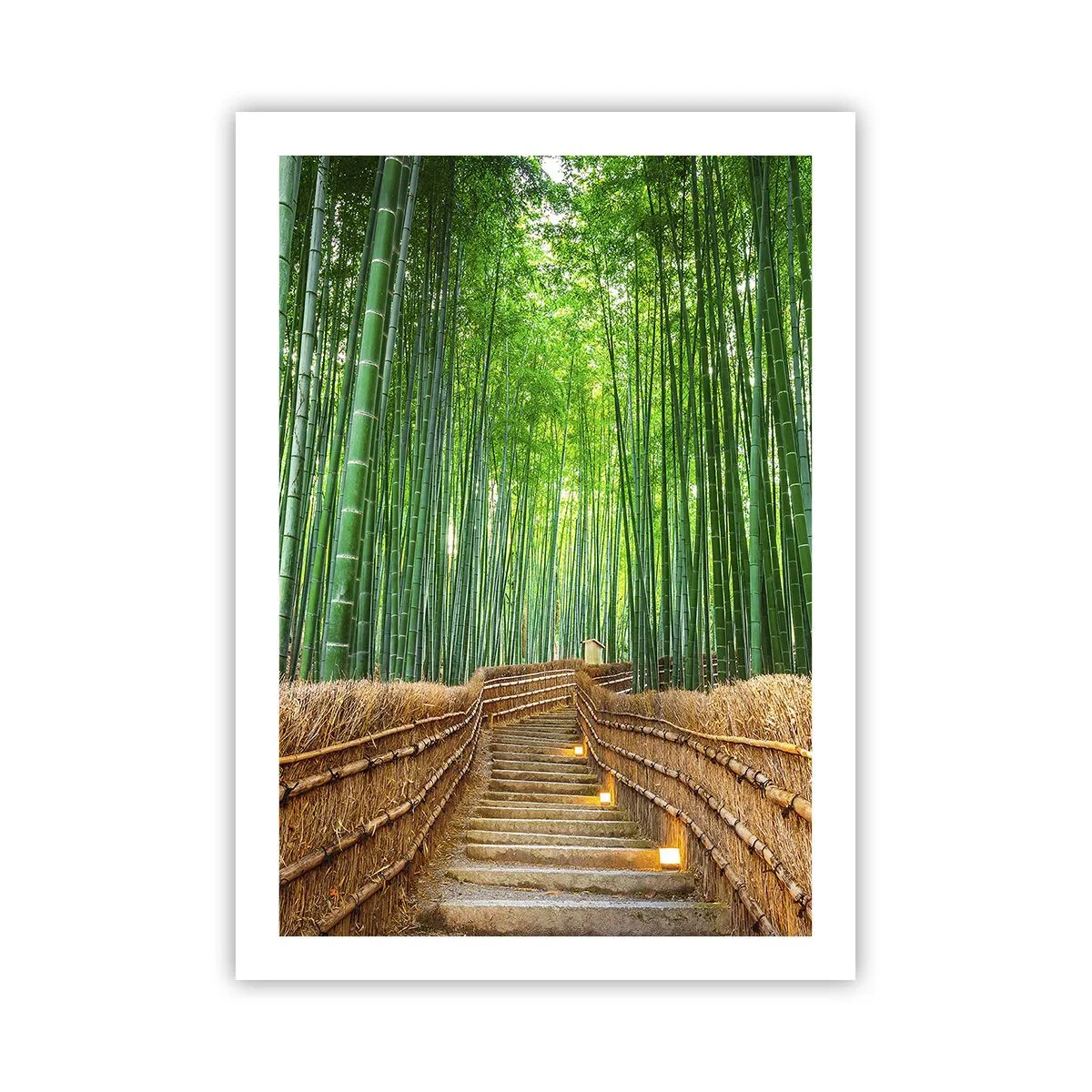 Poster - Percorso attraverso la foresta di bambù con illuminazione - 50x70cm - Essenza della natura asiatica - Decorazione murale moderna per soggiorno e camera da letto ARTTOR