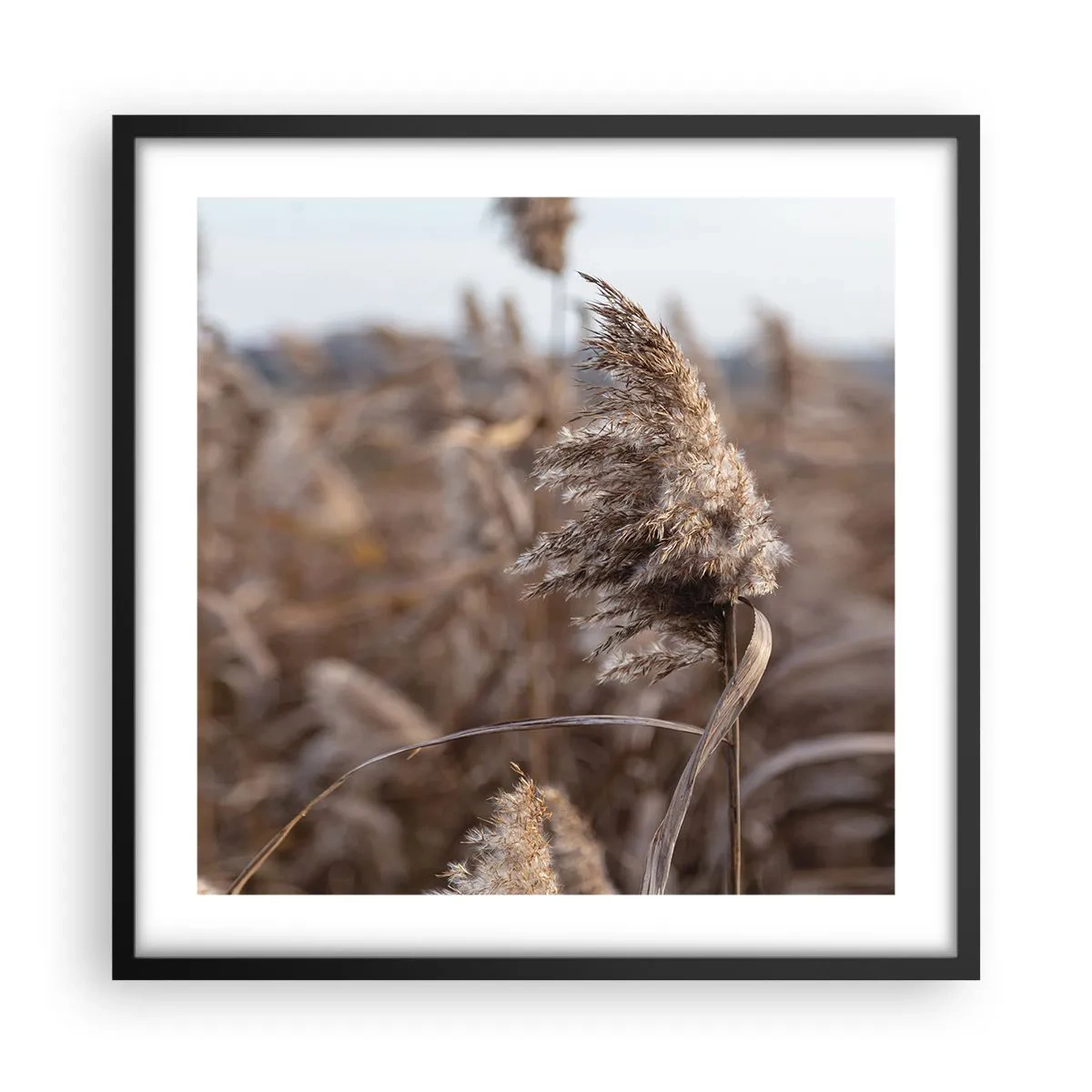 Poster in cornice nera - è tempo di volare col vento - 50x50 cm