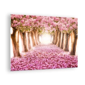 Quadro su vetro - Un viale di alberi in fiore con petali rosa sul terreno - 70x50cm - La strada verso il paradiso - Decorazione murale moderna per soggiorno e camera da letto ARTTOR