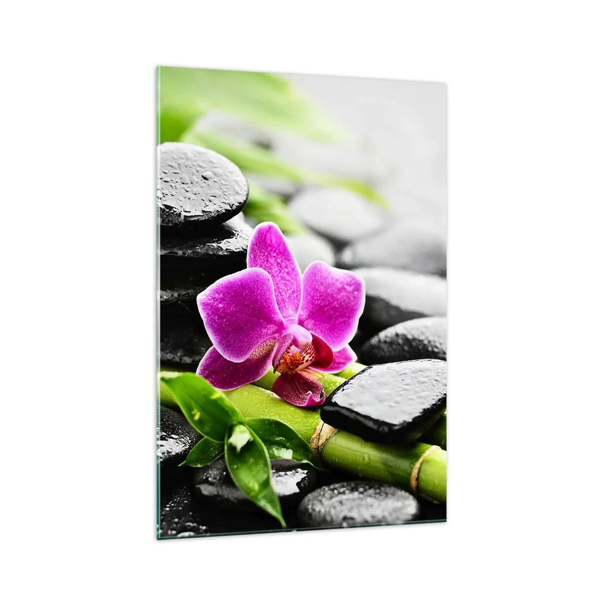 Quadro su vetro - Orchidea viola, pietre nere e bambù in una composizione tranquilla - 70x100cm - Un tranquillo equilibrio - Decorazione murale moderna per soggiorno e camera da letto ARTTOR