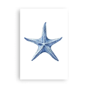 Poster - Stella marina - 61x91 cm
