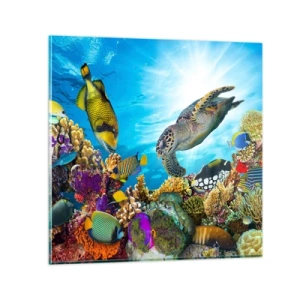 Quadro su vetro - Passeggiata corallina - 70x70 cm