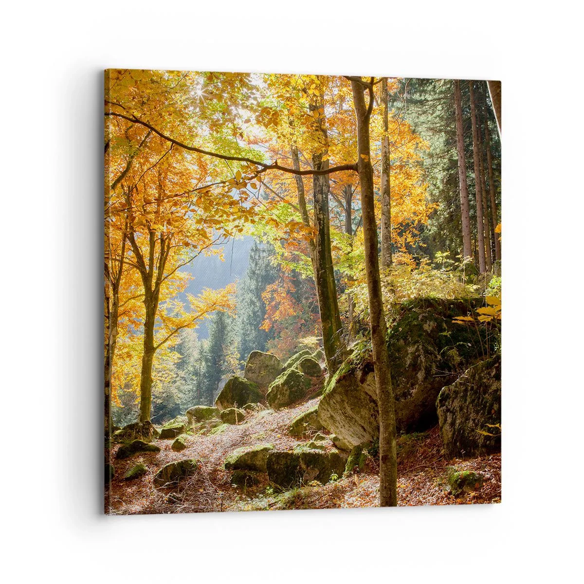 Quadro su tela - Stampe su Tela - Il tempo del riposo - 70x70 cm