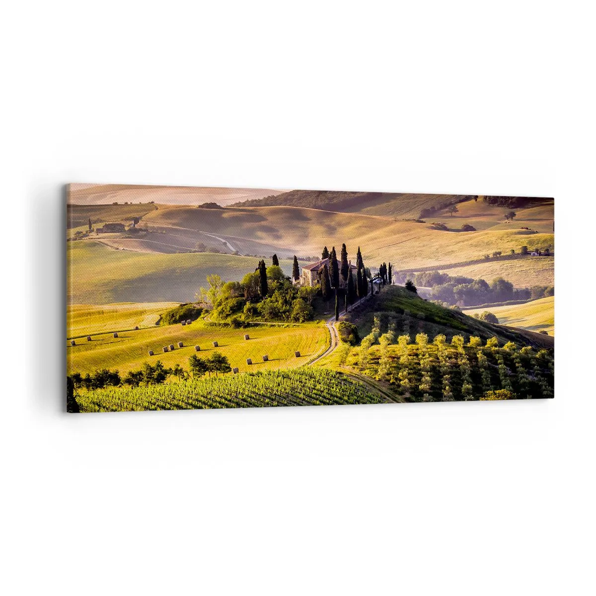 Quadro su tela - Stampe su Tela - Paesaggio toscano con vigneti e una casa su una collina - 120x50cm - Arcadia: paesaggio toscano - Decorazione murale moderna per soggiorno e camera da letto ARTTOR