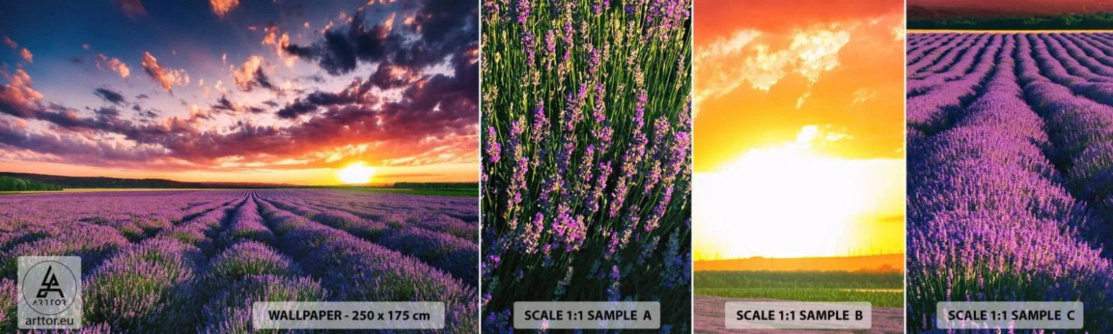 Campione di Fotomurale Adesivo Deluxe Sticker - Il mondo della lavanda - Paesaggio, Campo di lavanda, Lavanda - 100x30 cm