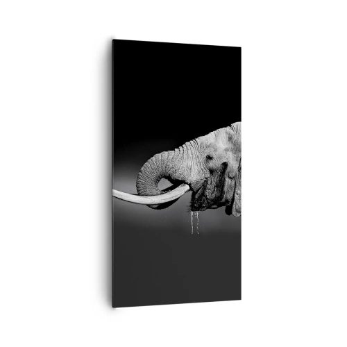 Quadro su tela - Stampe su Tela - Si, adesso va bene - 65x120 cm
