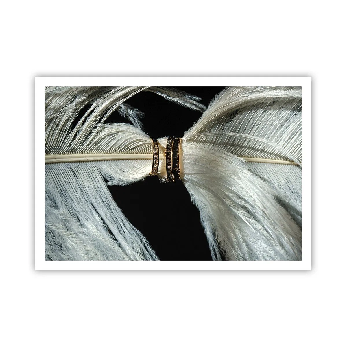 Poster - Una piuma bianca con due anelli d'oro su uno sfondo nero - 100x70cm - ...e non ti lascerò... - Decorazione murale moderna per soggiorno e camera da letto ARTTOR