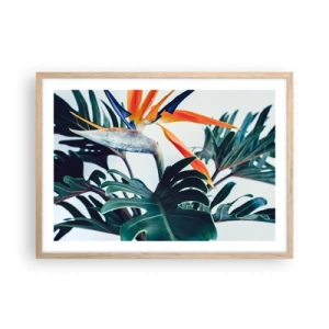 Poster in cornice rovere chiaro - Pianta uccello - 70x50 cm