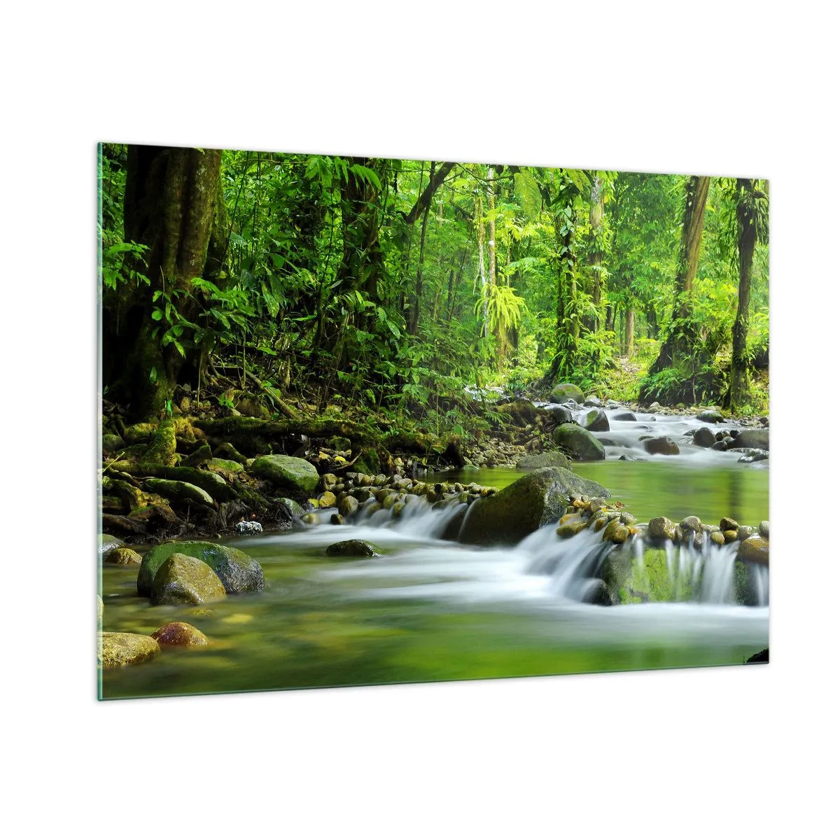 Quadro su vetro - Un ruscello nella foresta circondato da una vegetazione lussureggiante - 100x70cm - Fluttuando in un mare di verde - Decorazione murale moderna per soggiorno e camera da letto ARTTOR