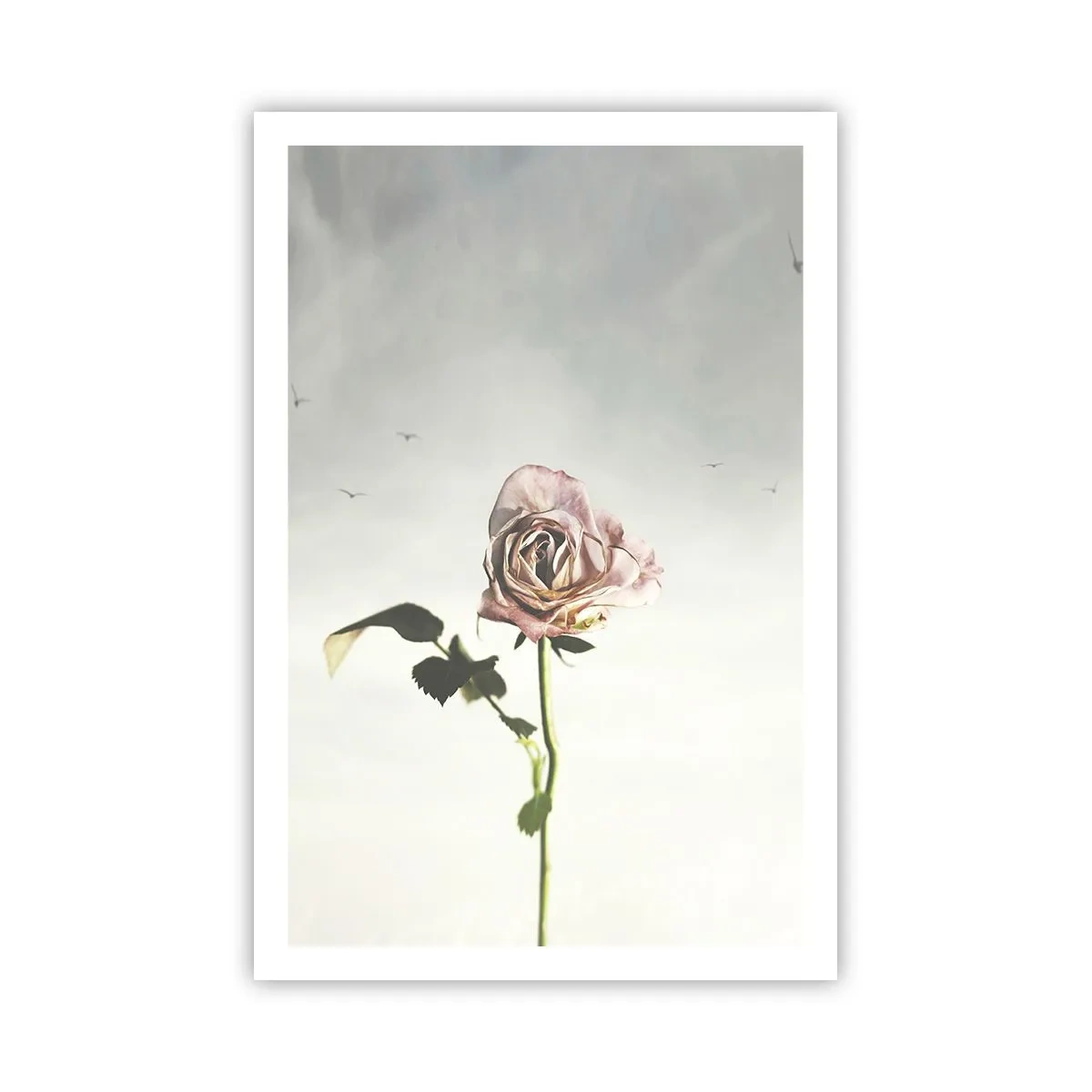 Poster - Il benvenuto alla primavera - 61x91 cm