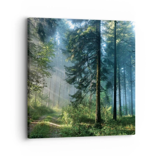 Quadro su tela - Stampe su Tela - Raggiante all'alba - 30x30 cm