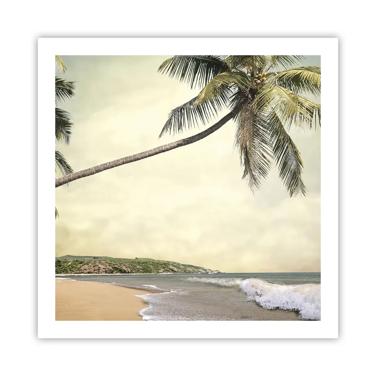 Poster - Sogno tropicale - 60x60 cm