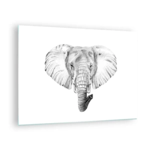 Quadro su vetro - Disegno in bianco e nero della testa di un elefante su sfondo bianco - 70x50cm - C'era un volta un elefante - Decorazione murale moderna per soggiorno e camera da letto ARTTOR