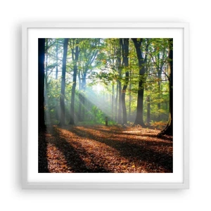 Poster in cornice bianca - Luci e ombre - 50x50 cm