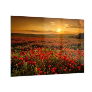 Quadro su vetro - Un campo di papaveri illuminato dai raggi del sole al tramonto - 100x70cm - Tra il fruscio delle erbe, in un'esplosione di fiori - Decorazione murale moderna per soggiorno e camera da letto ARTTOR