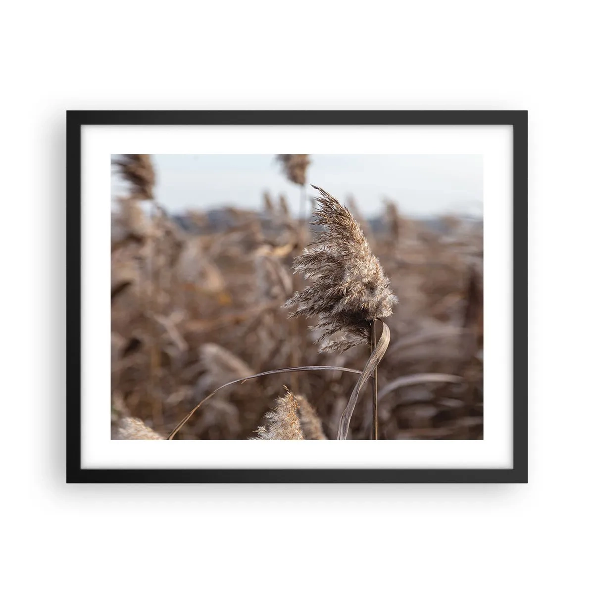 Poster in cornice nera - è tempo di volare col vento - 50x40 cm