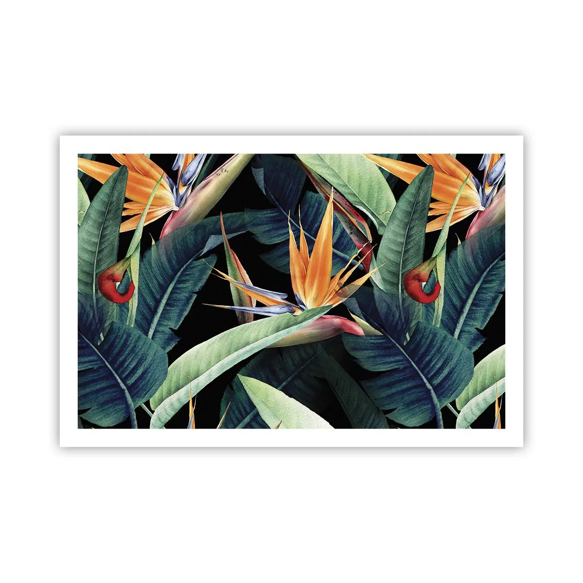 Poster - I fiori fiammeggianti dei tropici - 91x61 cm