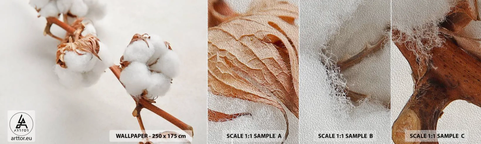 Campione di Fotomurale Premium Sand - Semplicemente un abbraccio - Fiore di cotone, Fiore, Ramoscello di cotone - 100x30 cm