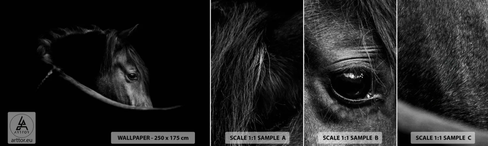 Campione Di Fotomurale Standard Eco - Il principe nero - Cavallo, Animale, Artistico - 100x30 cm