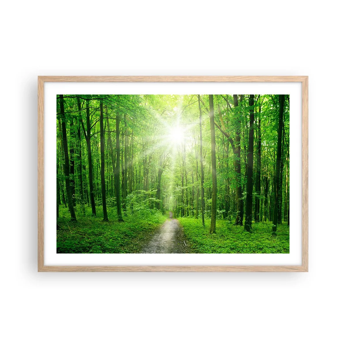 Poster in cornice rovere chiaro - Cattedrale verde - 70x50 cm